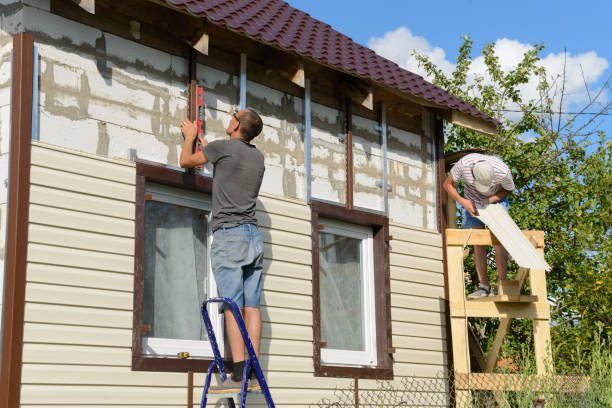 Best Siding for New Construction  in International Falls, MN